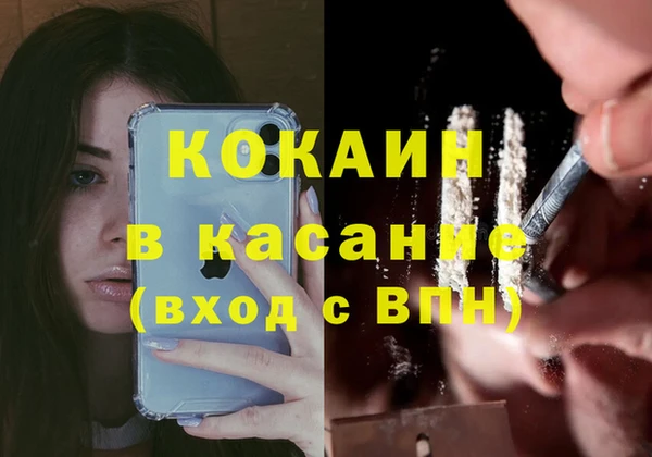 сатива Абаза